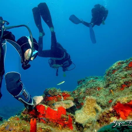 Panormos,irene's Vendégház Panormos (Kalymnos)